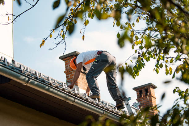 Roof Insulation in Grace, ID