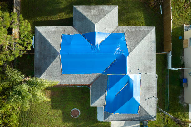 Best Steel Roofing  in Grace, ID