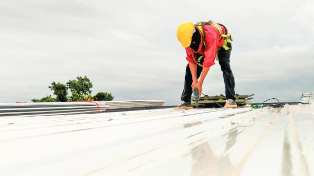 Best Skylights  in Grace, ID